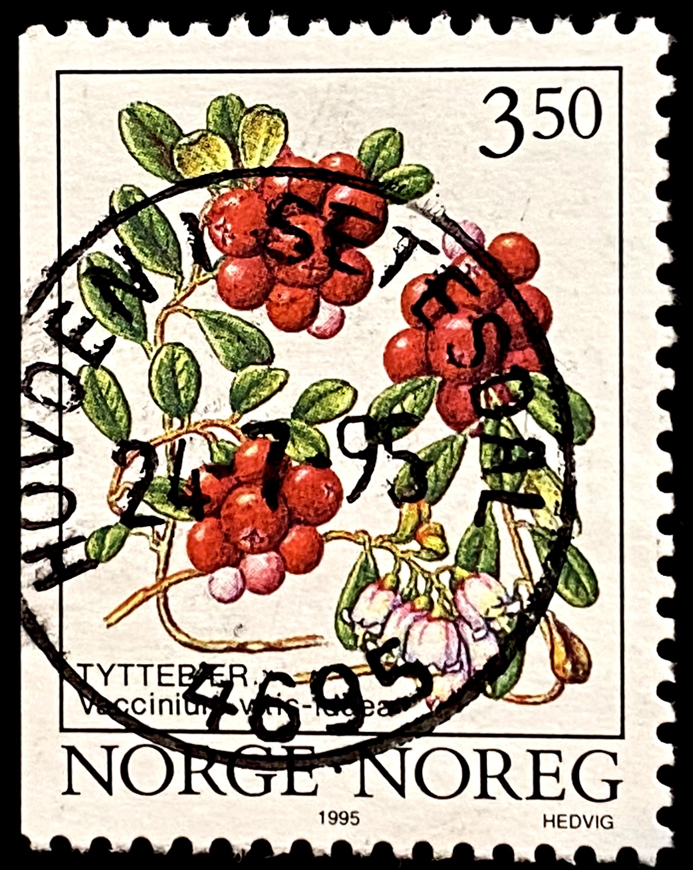 NK 1223 Hovden i Setesdal