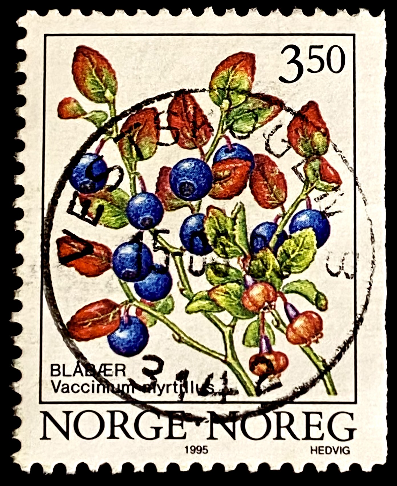 NK 1224 Vestskogen