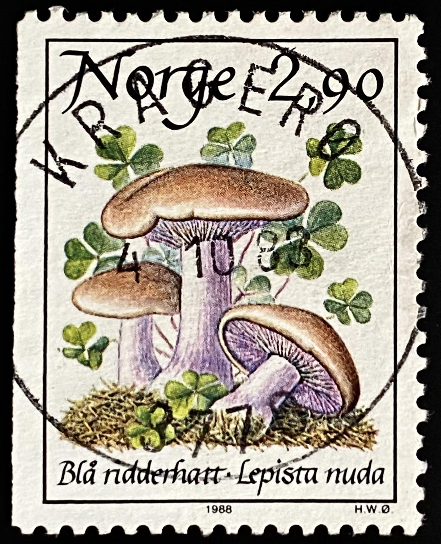 NK 1038 Kragerø