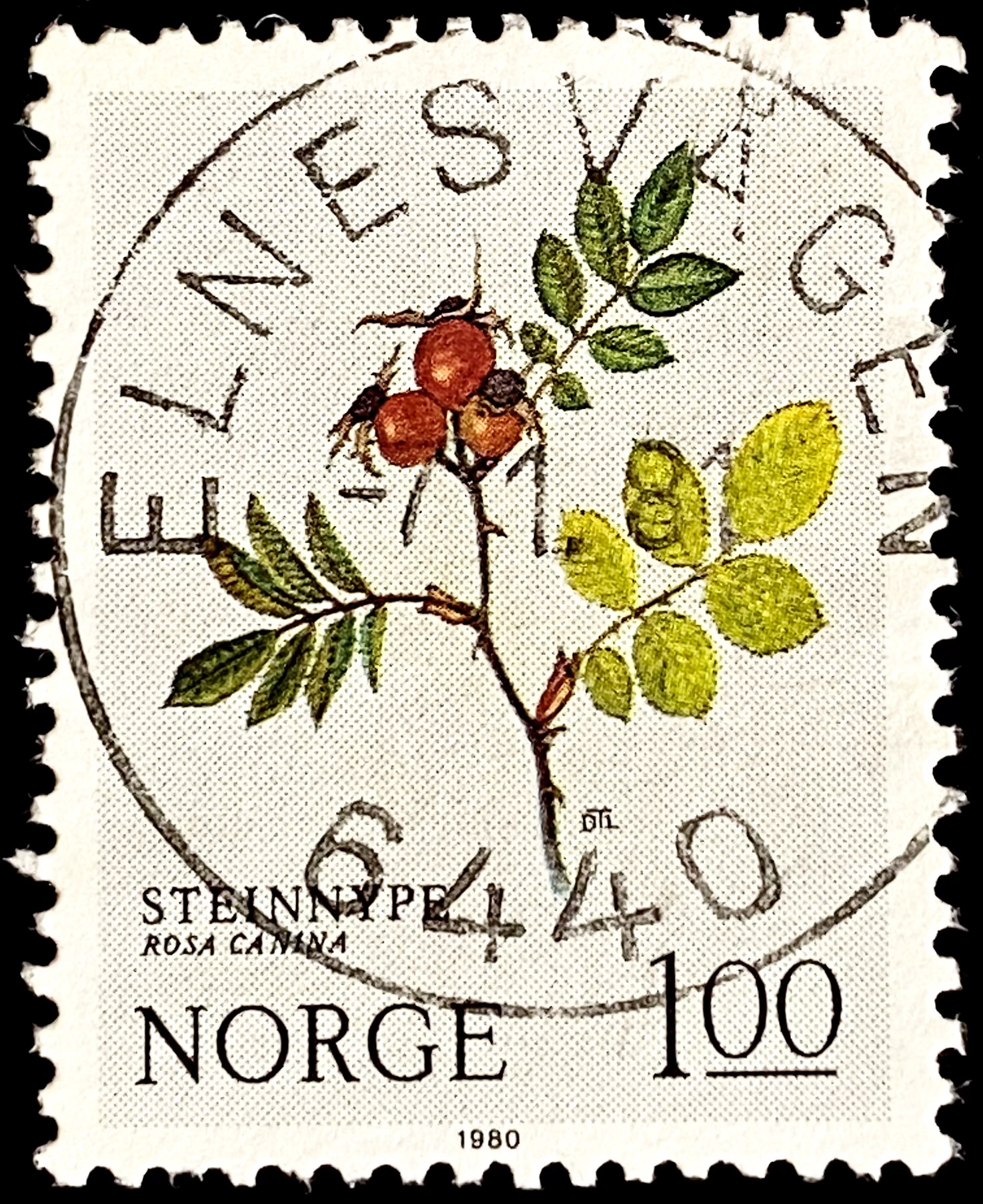 NK 874 Elnesvågen