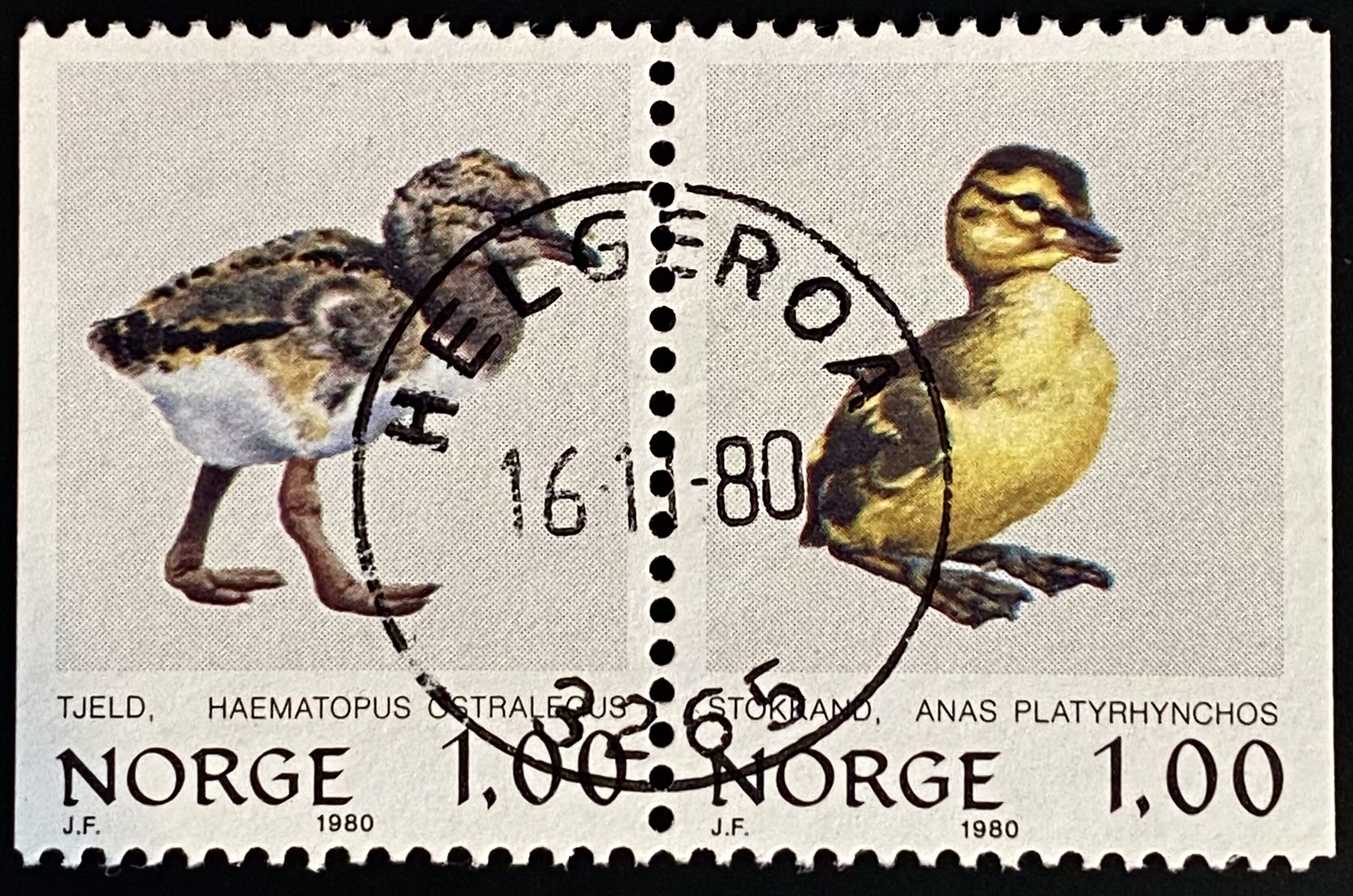 NK 859-860 Helgeroa
